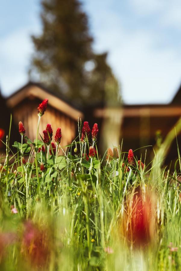 Hideaway Hotel Montestyria Chalets & Suiten Mariazell Eksteriør billede